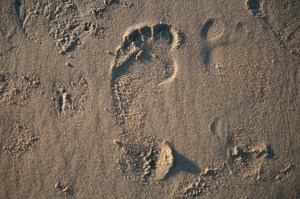 "How beautiful upon the mountains are the feet of him who brings good news, who publishes peace, who brings good news of happiness, who publishes salvation, who says to Zion, “Your God reigns.” " -Isaiah 52:7 