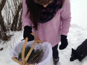 started the collecting