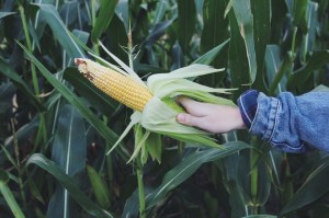 Processed with VSCOcam with f2 preset