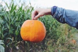 Processed with VSCOcam with f2 preset