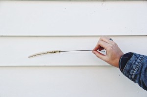 Processed with VSCOcam with f2 preset