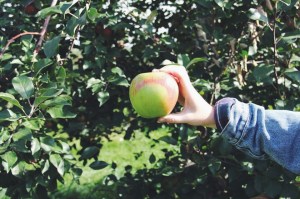 Processed with VSCOcam with f2 preset